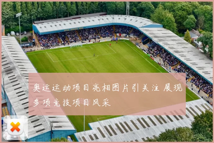 奥运运动项目亮相图片引关注 展现多项竞技项目风采