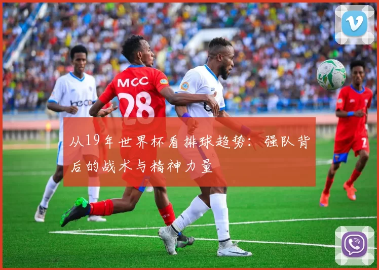 从19年世界杯看排球趋势：强队背后的战术与精神力量