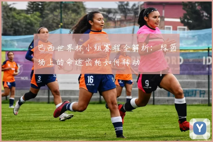 巴西世界杯小组赛程全解析：绿茵场上的命运齿轮如何转动