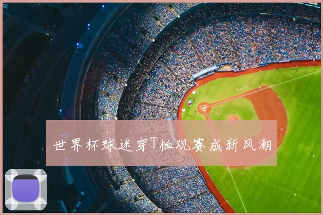 世界杯球迷穿T恤观赛成新风潮
