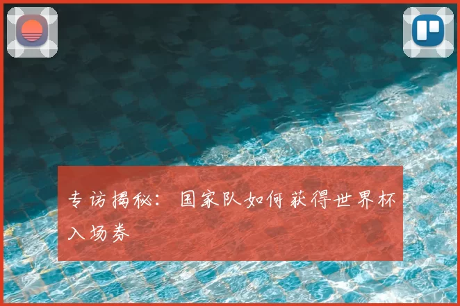 专访揭秘:国家队如何获得世界杯入场券