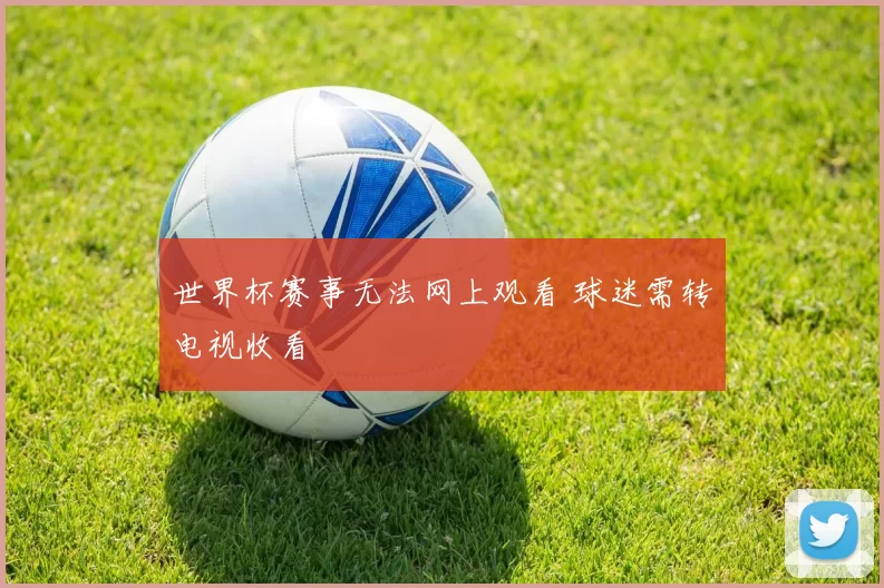 世界杯赛事无法网上观看 球迷需转电视收看
