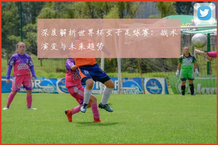 深度解析世界杯女子足球赛:战术演变与未来趋势