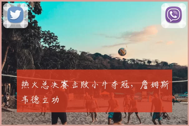 热火总决赛击败小牛夺冠，詹姆斯韦德立功
