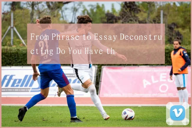 From Phrase to Essay Deconstructing Do You Have th