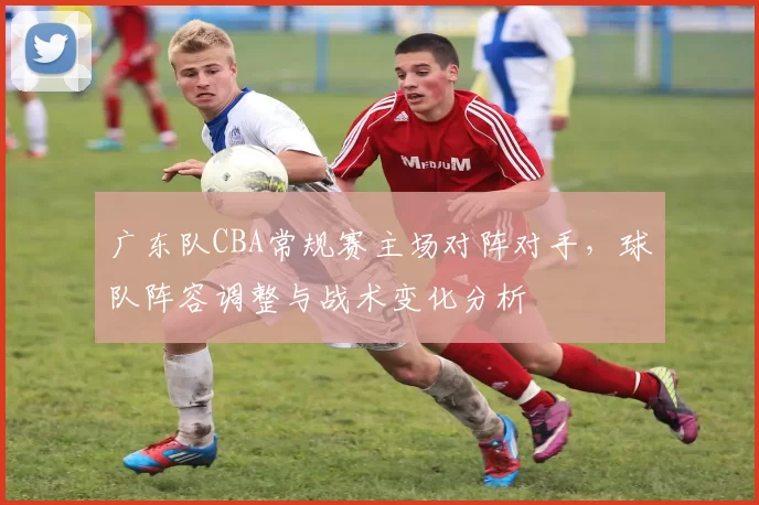 广东队CBA常规赛主场对阵对手，球队阵容调整与战术变化分析