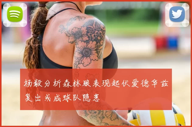 杨毅分析森林狼表现起伏爱德华兹复出或成球队隐患