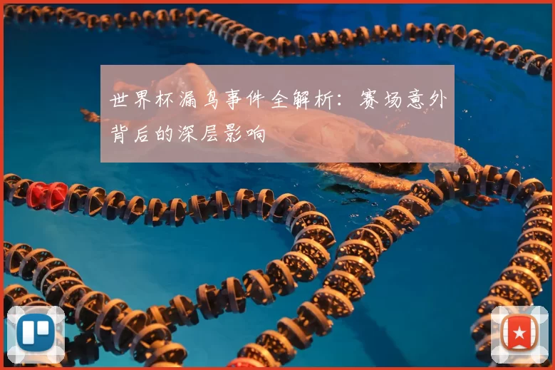 世界杯漏鸟事件全解析:赛场意外背后的深层影响