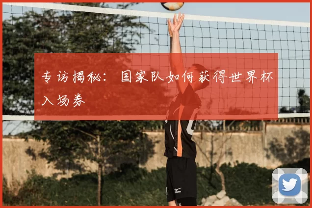 专访揭秘:国家队如何获得世界杯入场券