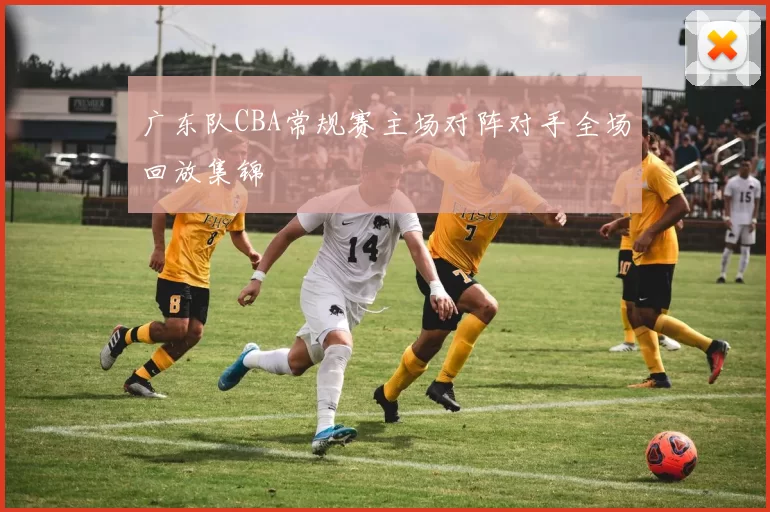 广东队CBA常规赛主场对阵对手全场回放集锦